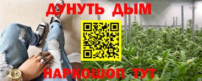 индика Беслан