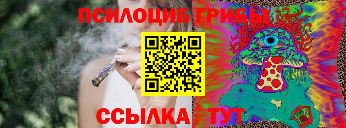 Галлюциногенные грибы прущие грибы  Воркута 