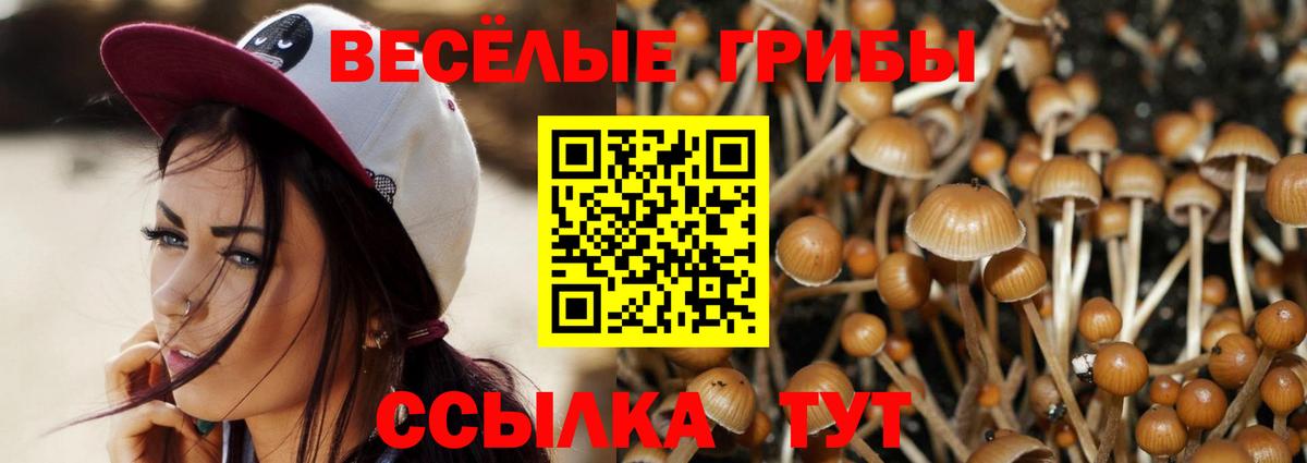 Псилоцибиновые грибы Cubensis  закладки  Воркута  Галлюциногенные грибы Magic Shrooms  Вход с VPN 